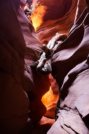 Blue John Canyon Light 1, Robbers Roost, Utah