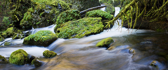 Base of the Waterfall