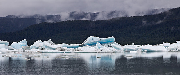 Mendenhall Icebergs