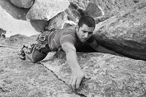Climbing Wheat Thin