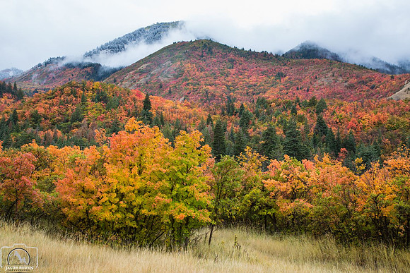 Fall Storm, Payson Canyon Utah