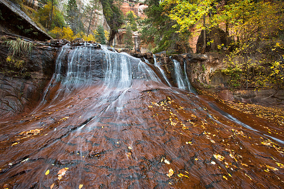 Left Fork of North Creek, Zion National Park