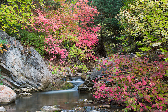 Little Stream, Payson Canyon, Utah