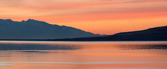 Great Salt Lake Sunrise, Antelope Island, Utah