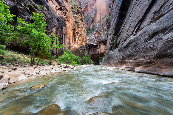 The Narrows, Zion National Park