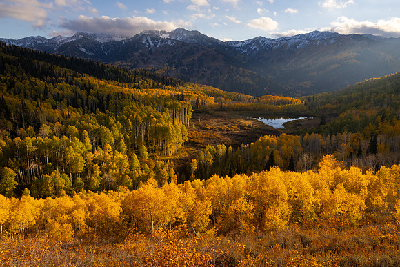 Autumn Evening On The Ridge, Utah