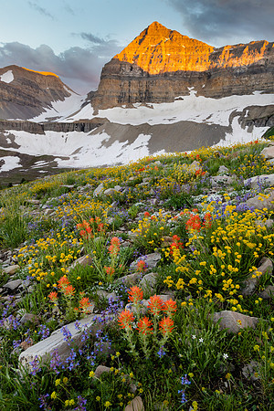 Timpanogos Rock Garden, Utah