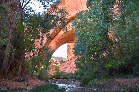 Jacob Hamblin Arch, Coyote Gulch, Utah