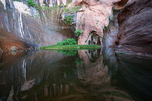 The Black Lagoon, Coyote Gulch, Utah