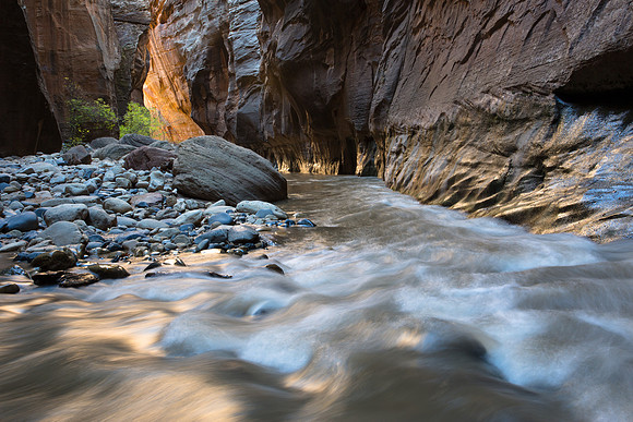 Narrows Light, Zion National Park